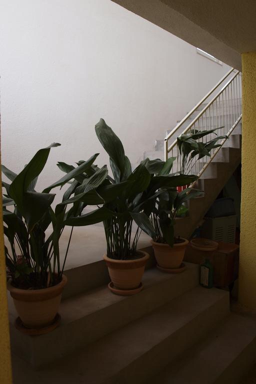 Apartments Viktorija 斯塔利格拉德-帕克利尼卡 外观 照片