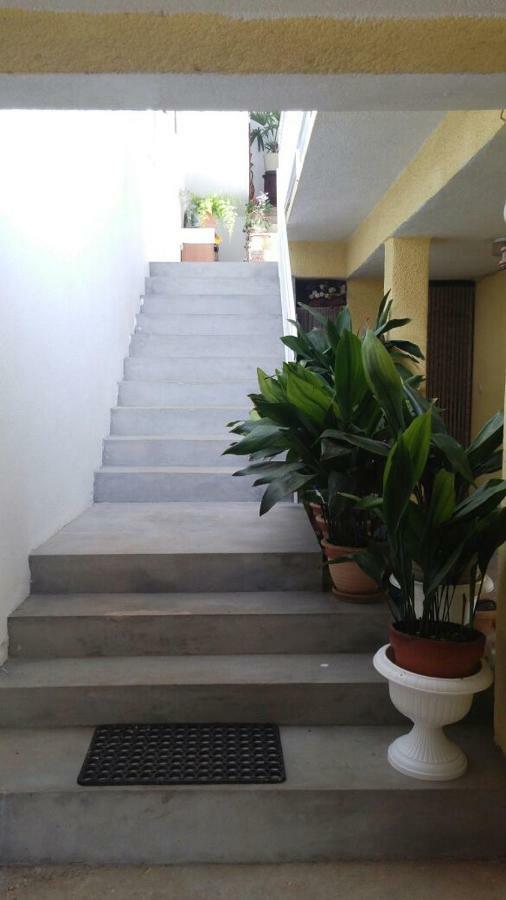 Apartments Viktorija 斯塔利格拉德-帕克利尼卡 外观 照片